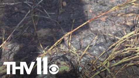 What is a burn ban and what does it mean for Arkansans | thv11.com