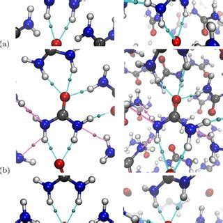 Image result for Polymorph Polymer Structure