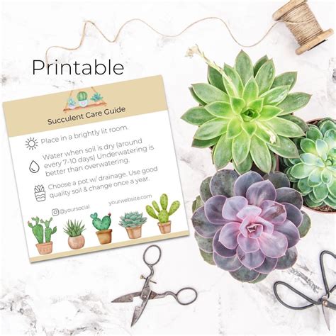 Editable Succulent Care Guide Template, Plant Care Cards Tag Printable ...