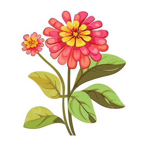 Zinnia Plant Drawing
