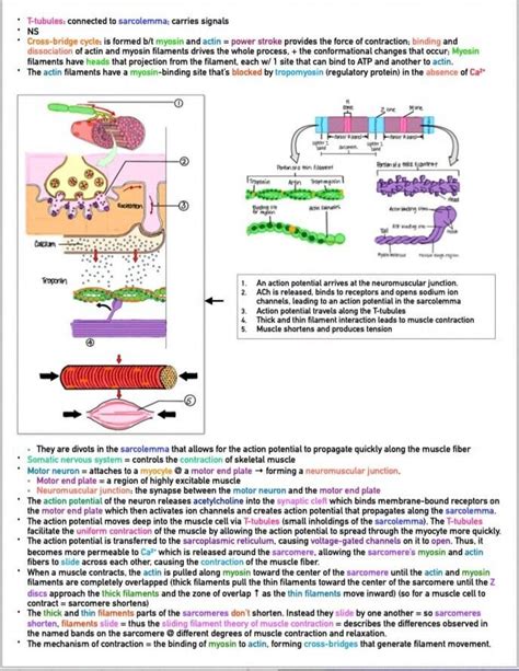 Image result for MCAT Study Guide