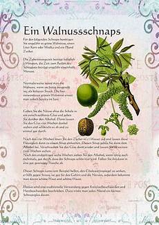 walnussbaum selber pflanzen ein walnussschnaps in 2019 schnaps kr 228 uterschnaps und walnussbaum selber pflanzen ein walnussschnaps in 2019 schnaps kr 228 uterschnaps und