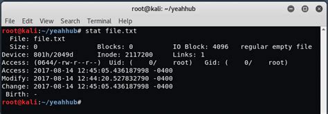 How to use Touch command effectively in Kali Linux - Yeah Hub