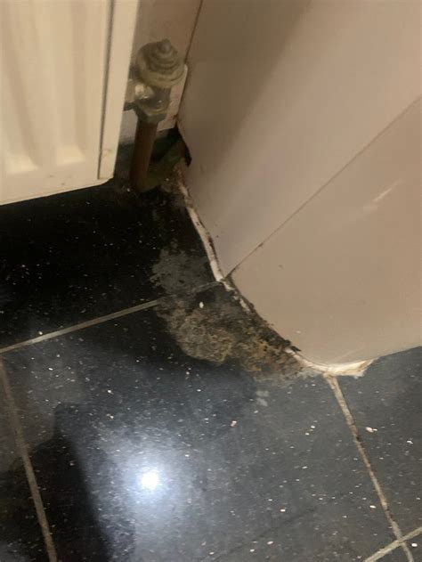 LONDON KW HOTEL - Hotel Reviews, Photos, Rate Comparison - Tripadvisor