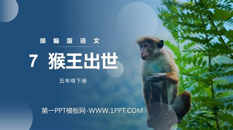 《猴王出世》PPT课件7 - 第一PPT