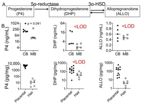 Human Placenta Buffers the Fetus from Adverse Effects of Perceived ...