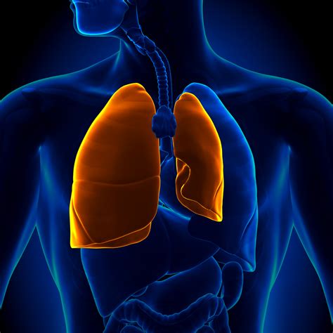 Bruised Rib Symptoms And Causes