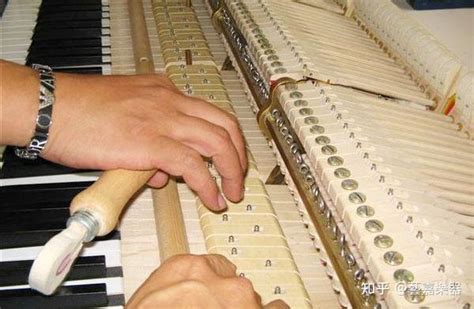 家用钢琴调律10课时学会调音（第1节）钢琴调律含义,音乐,器乐,好看视频