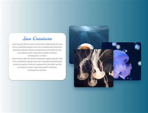 Image result for Bootstrap 5 Exemples