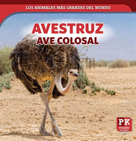 Avestruz / Ostrich: Ave colosal / Colossal Bird (Los animales más ...