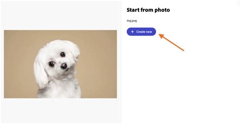 Image result for Photoshop Express App Tutorials Remove Background
