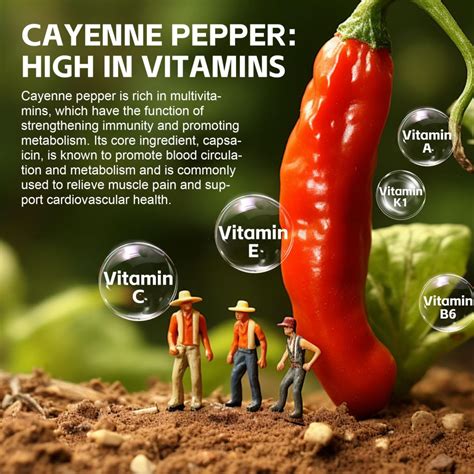 Well&Whole | cayenne herbal supplements