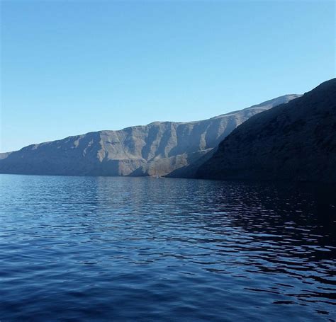Guadalupe Island - All You Need to Know BEFORE You Go (2025)