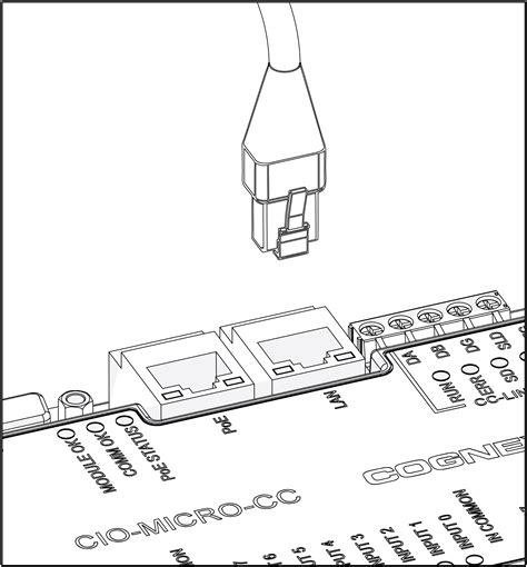 Image result for Conector RJ45 Installation