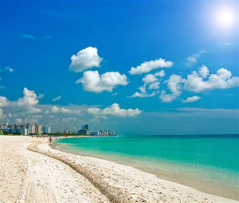 Miami 的图像结果