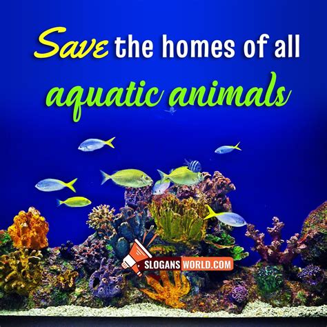 Water Pollution Slogans to Protect Our Water Bodies - Slogans World