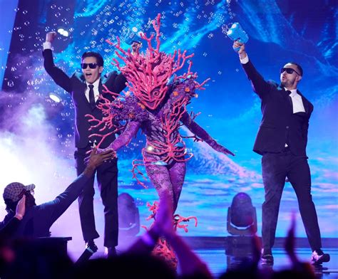 Image result for Masked Singer Duck