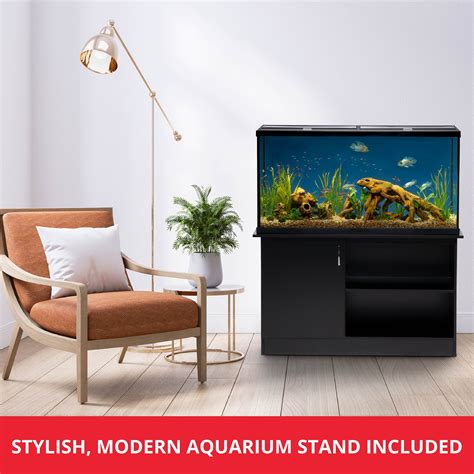 Modern Tropical Fish Tank 5 Best Fish Tank Ideas For A 29 Gallon