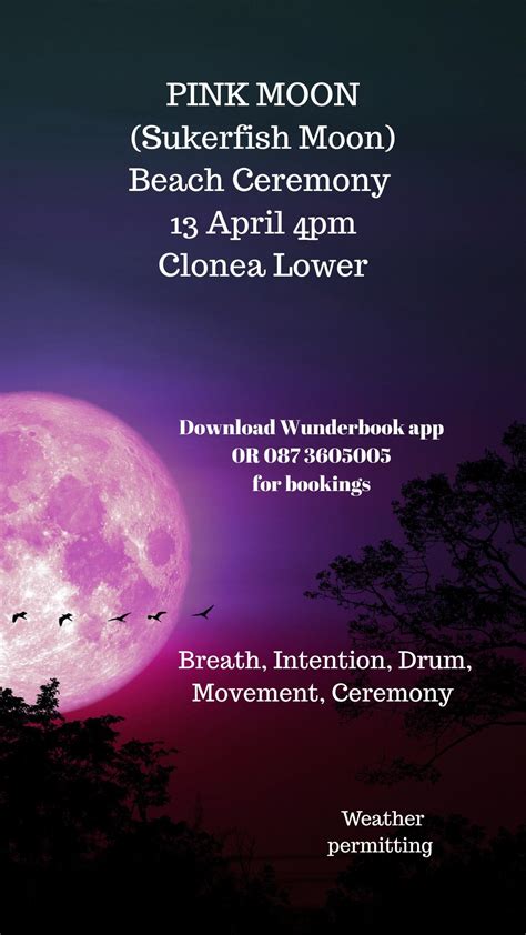 Full Pink (Suckerfish Moon) Ceremony , Clonea Strand, Dungarvan, 13 ...