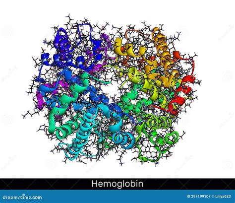 Image result for Complex Structure of Haemoglobin