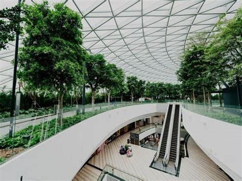 Healthcare architecture for better patient outcomes | Meer