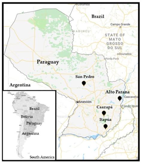 Diseases of Eucalypts in Paraguay and First Report of Teratosphaeria ...