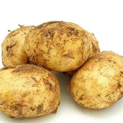 Potato (Per KG) – Fruit Box & Co.