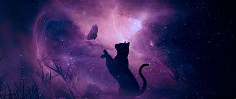 Download wallpaper 2560x1080 cat, silhouette, butterfly, starry sky ...