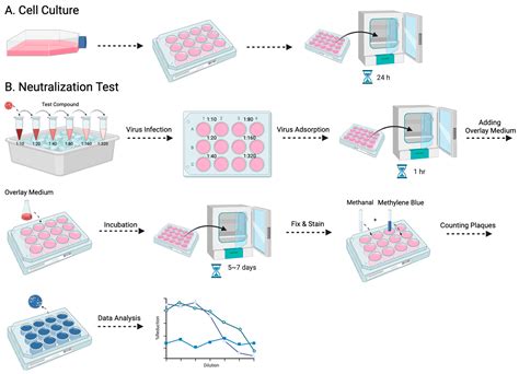 Utility of an In-Vitro Micro-Neutralizing Test in Comparison to a Plaque Reduction ...