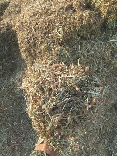 Image result for Expendable Fodder