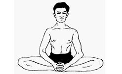 Identify Yoga Poses Part-1 | Free Online GK MCQ Trivia Fun Quiz with ...