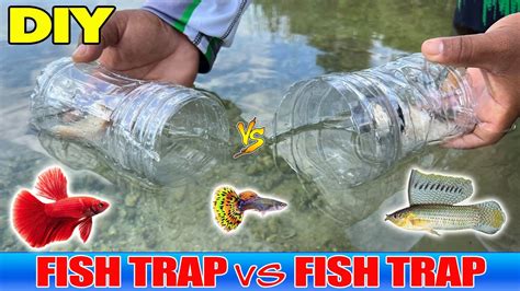 Image result for Using a Fish Trap