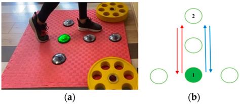 Timing in Lower Limb Complex Movement Tests for DanceSport Athletes ...