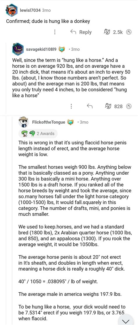 Hung Like A Horse