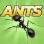 Baixar Pocket Ants 0.1115 Android - Download APK Grátis
