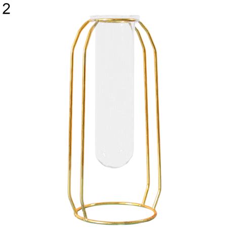 Buy WindC Hydroponics Terrarium Portable Reusable Glass Air Plant ...