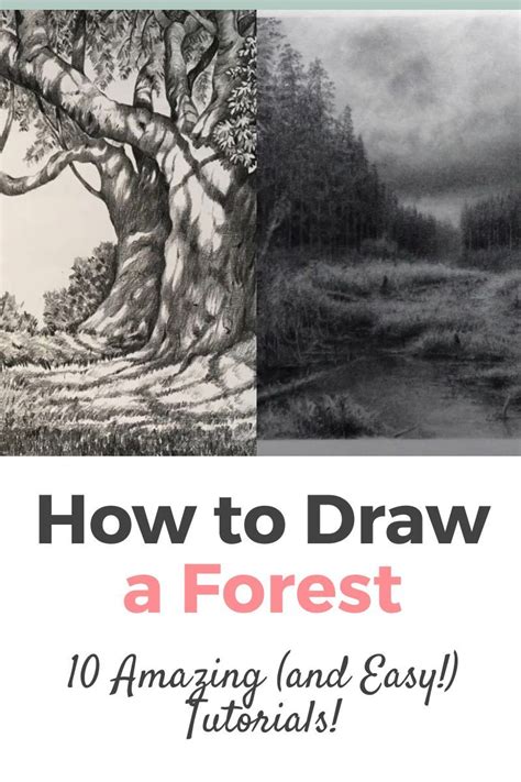 forest drawing ideas easy