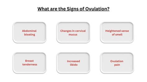 Does Ovulation Cause Bloating: What You Need to Know About? - FastDocNow