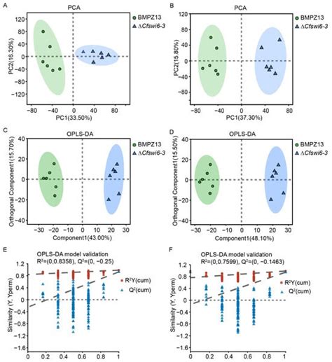 The Mechanism of Transcription Factor Swi6 in Regulating Growth and ...