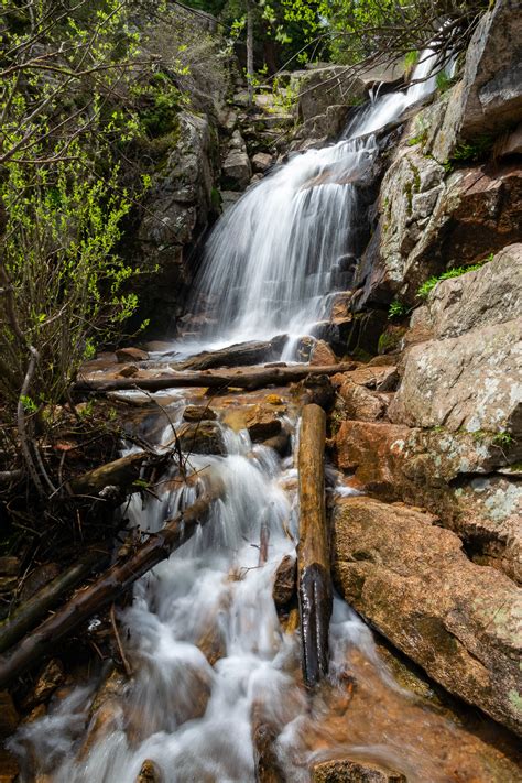 A Tree Falling: Maxwell Falls, June 2023