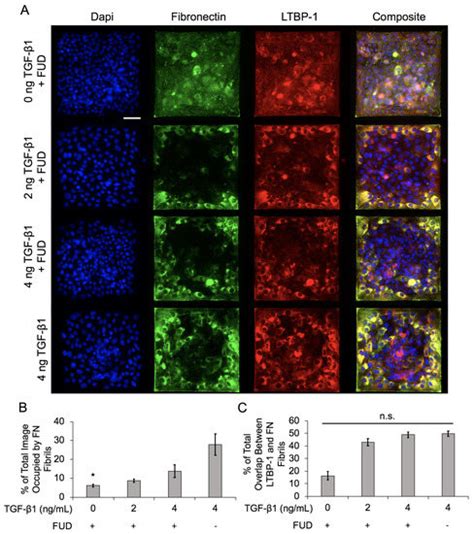 IJMS | Special Issue : The Role of Extracellular Matrix in Human Health ...