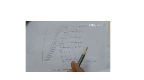 Image result for Muscle Twitch Graph