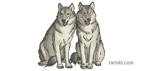 What is a Cinquain Poem? | Cinquain Poem for Kids - Twinkl