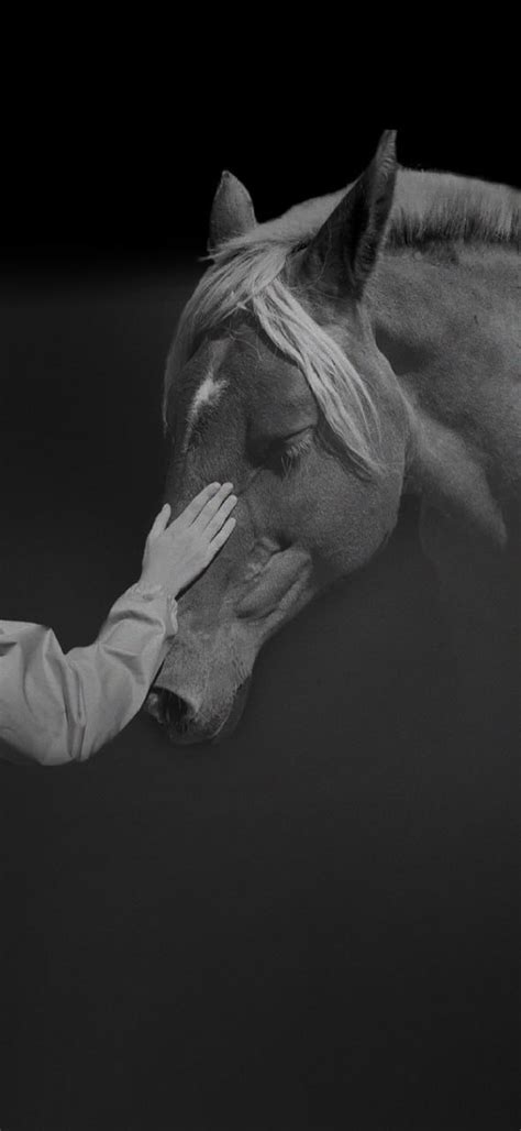 Best Modular Kitchen Designs in India: European Modular Kitchens and ...