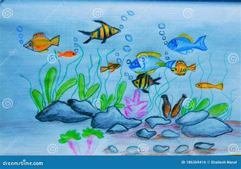 Drawing Life Under Sea at Kenneth Locke blog