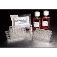 Corning BioCoat HTS Caco-2 Assay Systems, 354802 Hts Caco-2 Assay ...