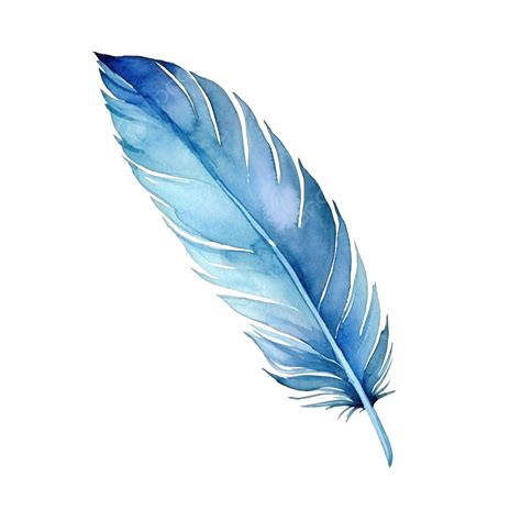Watercolor Feather Clip Art