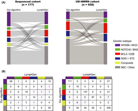 Image result for Lymphgen Algorithm