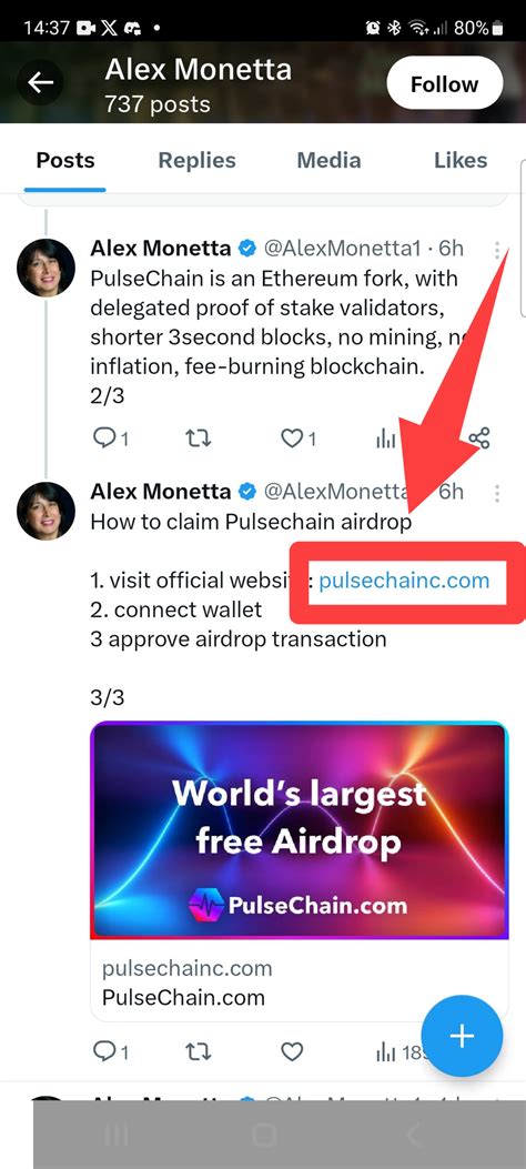 Pulse Chain Scam 的图像结果