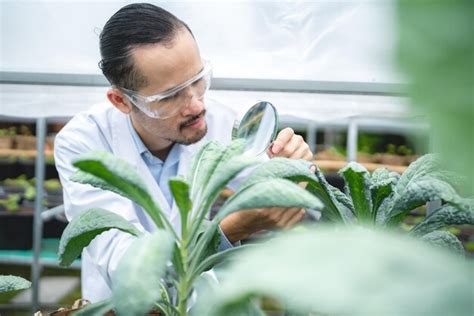 Agriculture Scientist 的图像结果